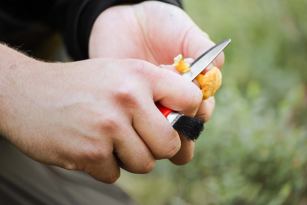 Karl-Johan Mushroom Knife (S) Red - Morakniv