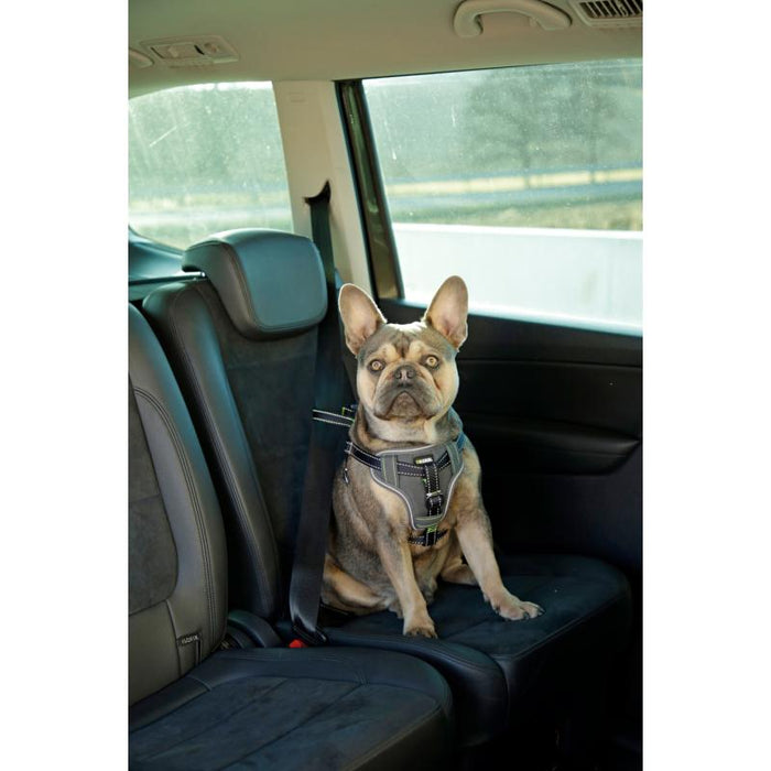 Hundesicherheitsgurt für das Auto – L – Kerbl