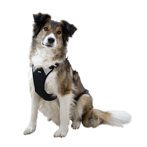 Hundegeschirr Pulsive – Hals 62–85 cm – Brust 72–96 cm – Kerbl