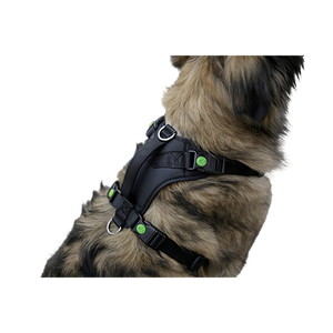 Hundegeschirr Pulsive – Hals 62–85 cm – Brust 72–96 cm – Kerbl