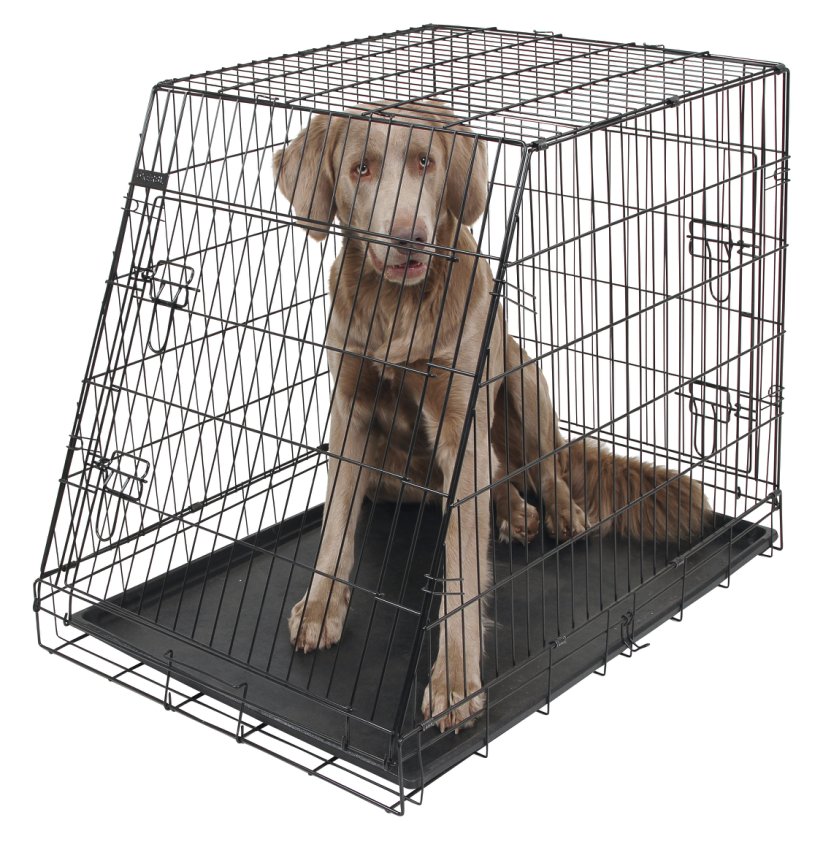 Hundebox aus Stahl, zusammenklappbar, abgeschrägt – 63x48x57cm – Kerbl