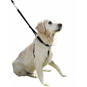 Hundegeschirr Maxi Leader - Hals 25-30 cm – Kerbl