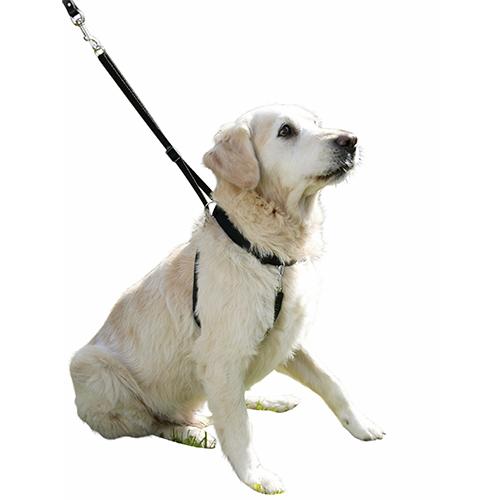Hundegeschirr Maxi Leader – Hals 30-45 cm – Kerbl