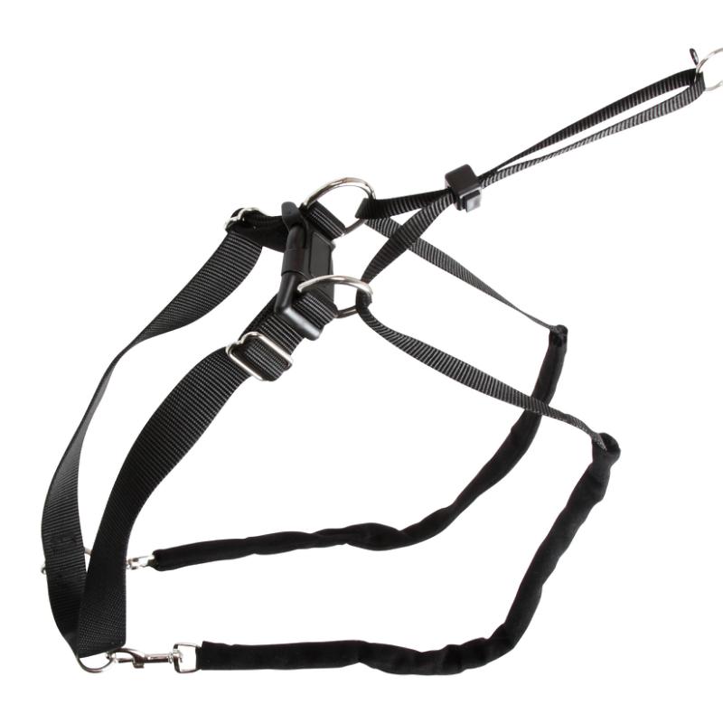 Hundegeschirr Maxi Leader – Hals 45-60 cm – Kerbl