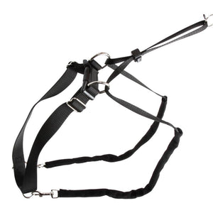 Hundegeschirr Maxi Leader – Hals 45-60 cm – Kerbl