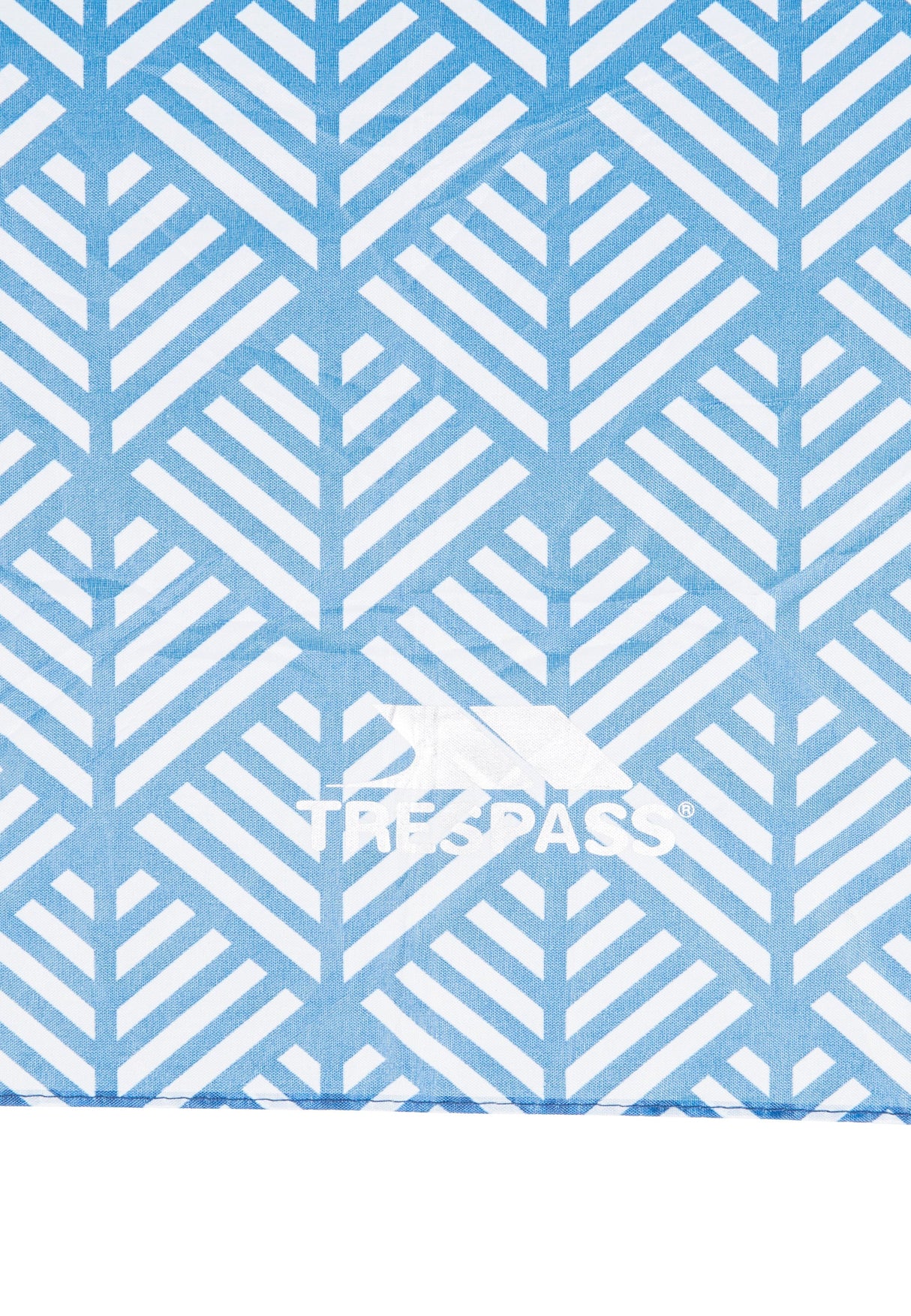 Maggiemay - Blue Chevron Print - Trespass