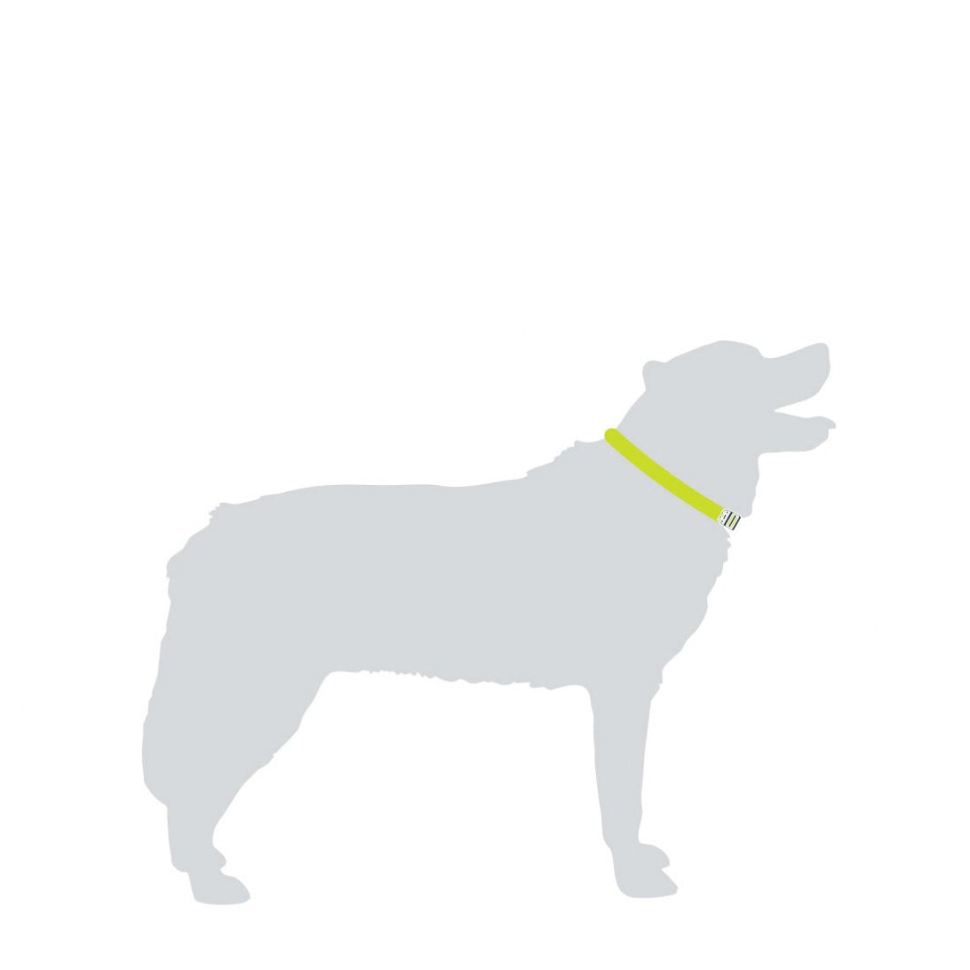 Hundehalsband Mittel Schwarz – Mountain Paws