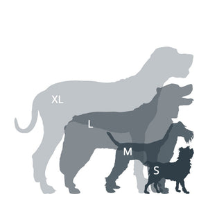 Hundehalsband Mittel Schwarz – Mountain Paws