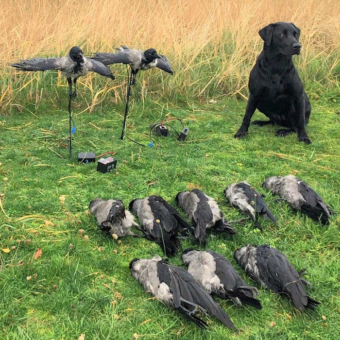 Multiflapper - inklusive Batterie und Steuerung