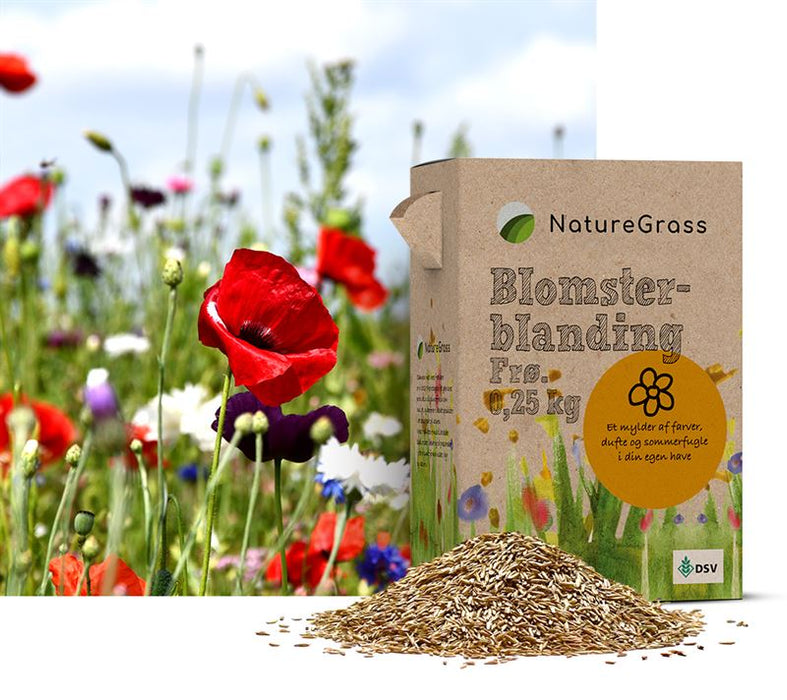 Naturblumenmischung 0,25 kg Box