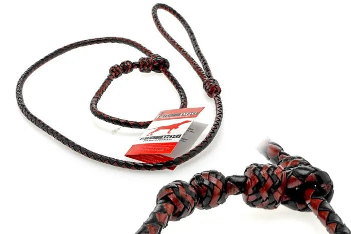 Retrieverleine aus geflochtenem Leder - PROF DOG