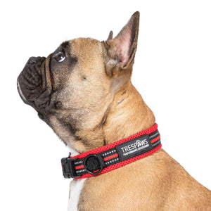 Scooby - Postbox Red - Trespass