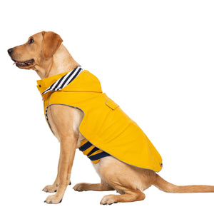 Seadog - Sunshine - Trespass
