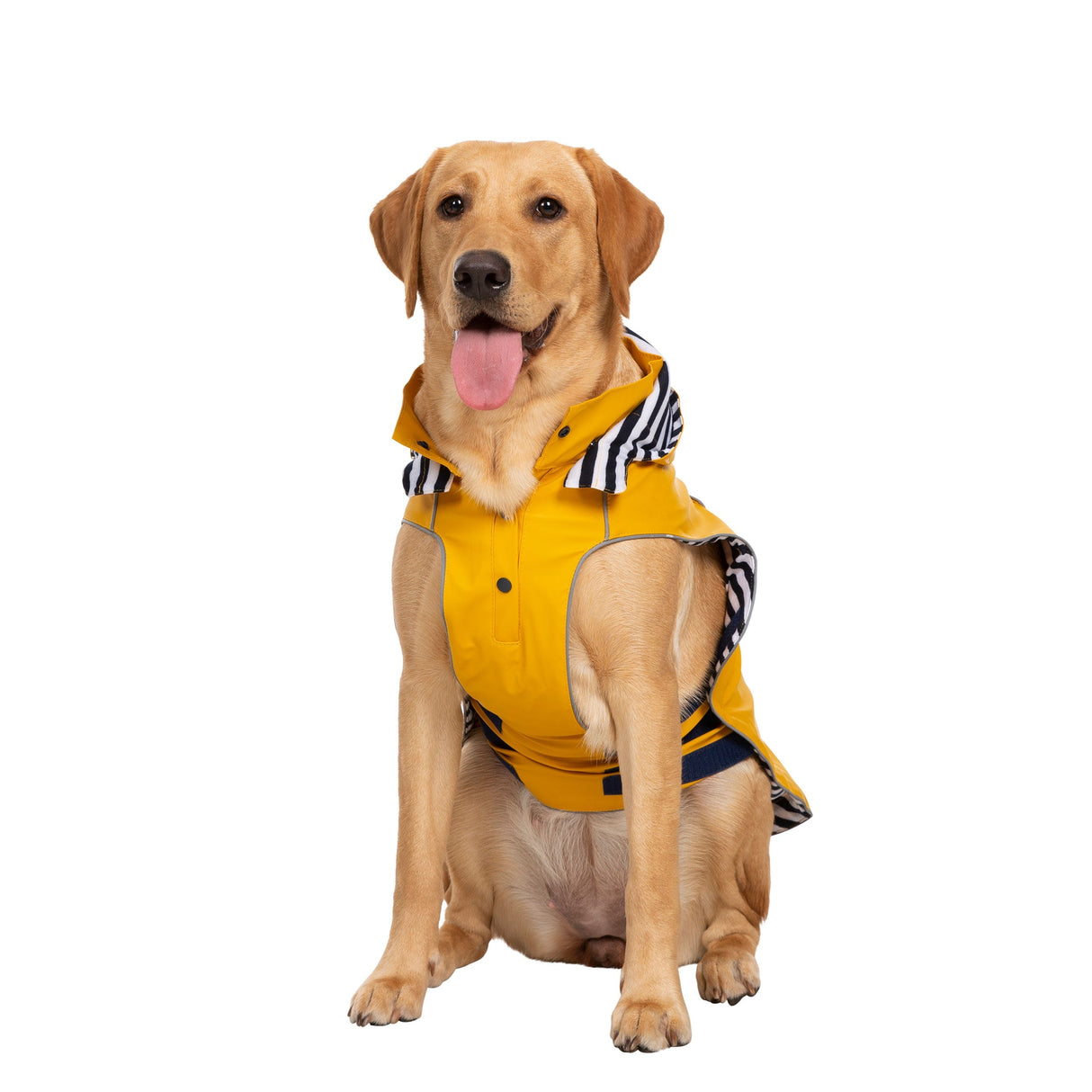 Seadog - Sunshine - Trespass