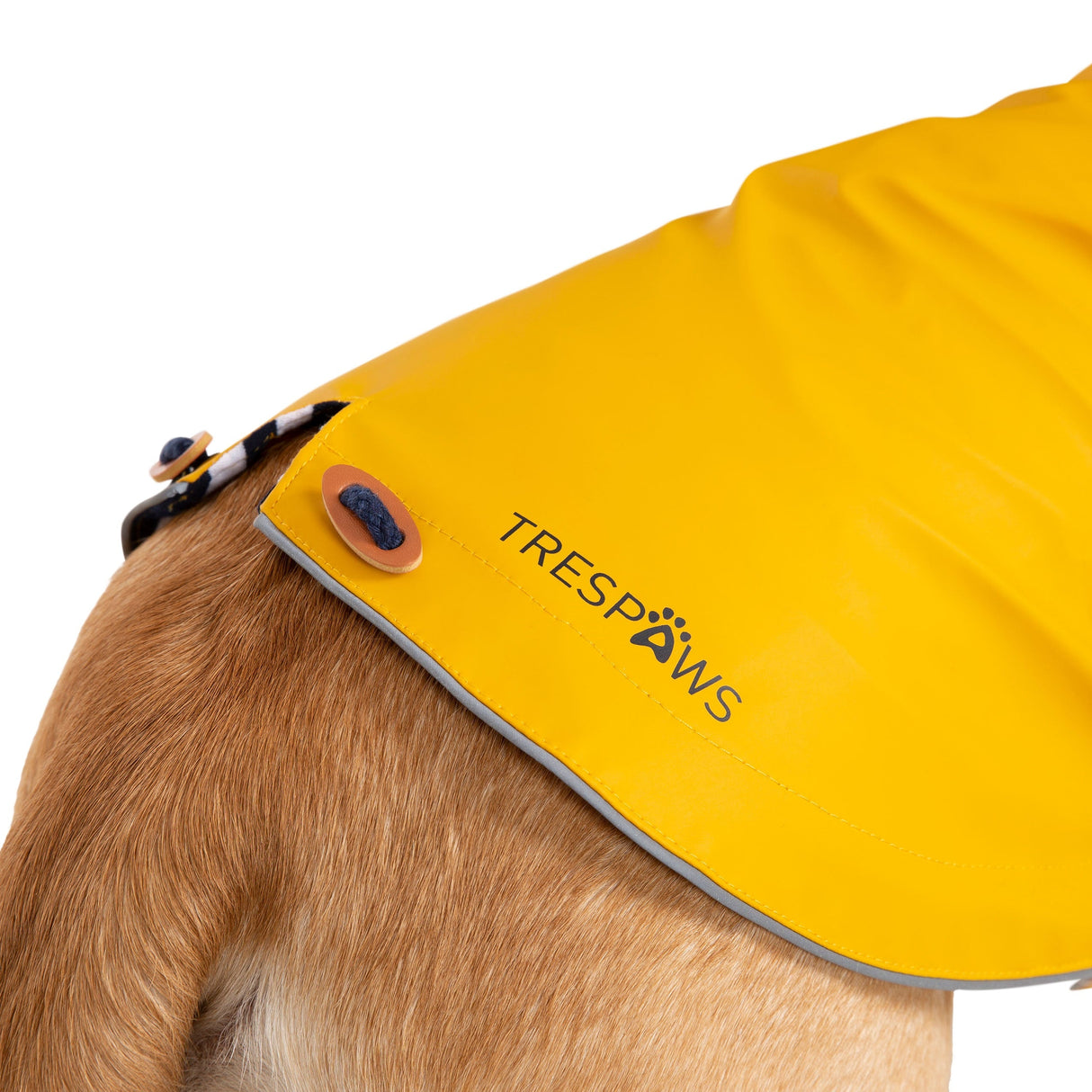 Seadog - Sunshine - Trespass