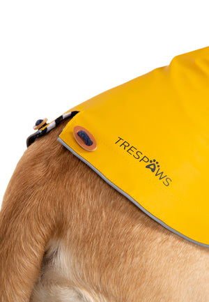 Seadog - Sunshine - Trespass
