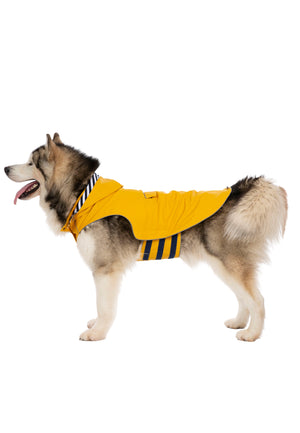 Seadog - Sunshine - Trespass