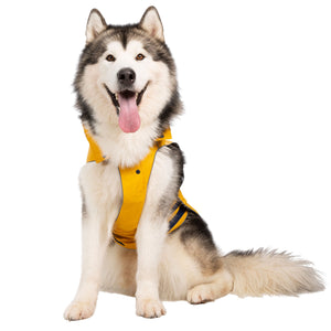 Seadog - Sunshine - Trespass