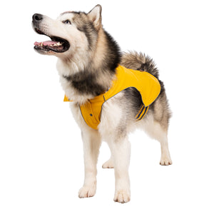 Seadog - Sunshine - Trespass