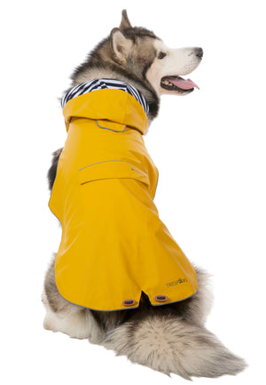 Seadog - Sunshine - Trespass