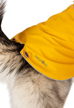Seadog - Sunshine - Trespass