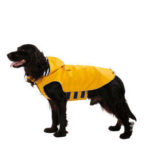 Seadog - Sunshine - Trespass