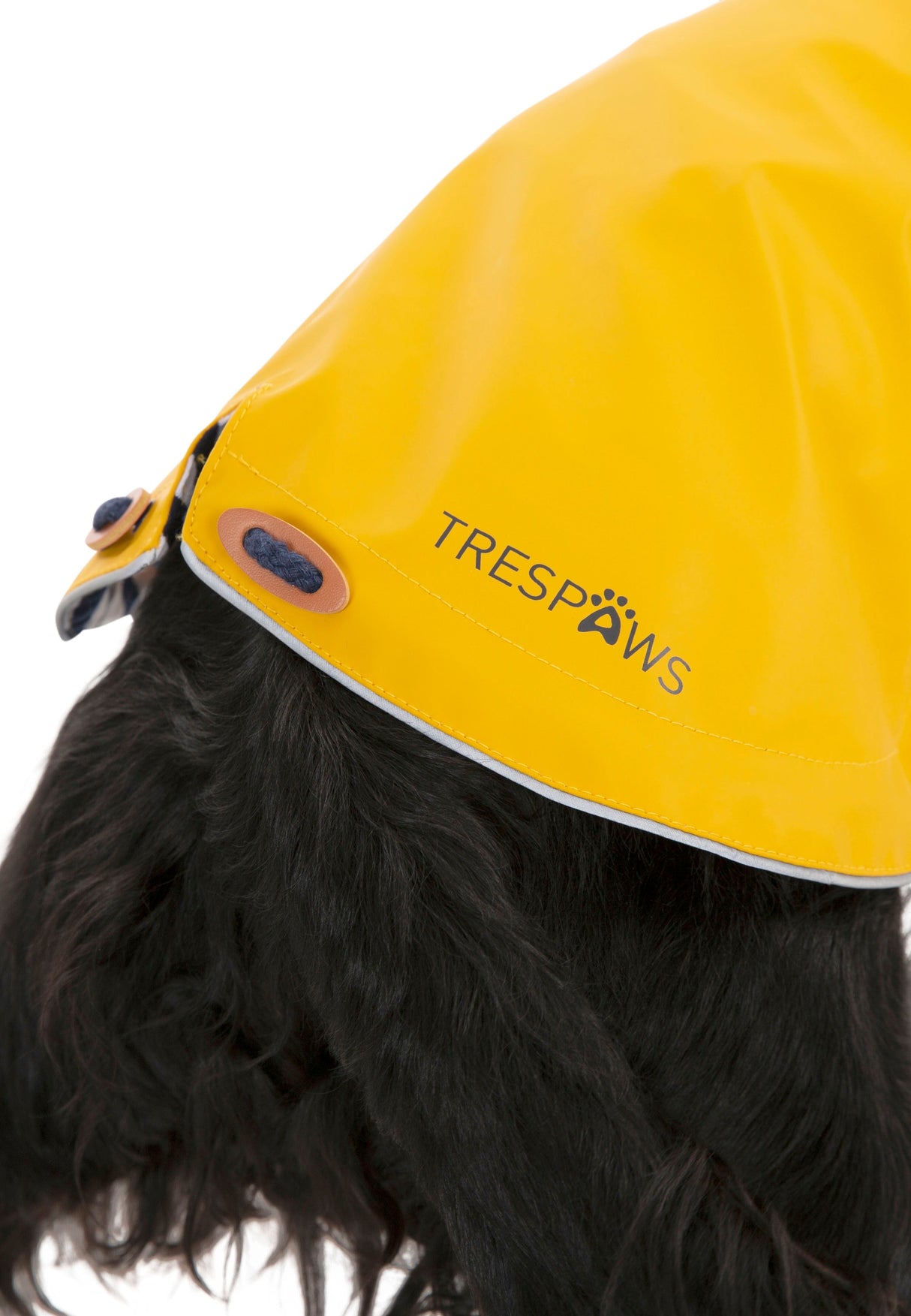 Seadog - Sunshine - Trespass
