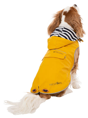 Seadog - Sunshine - Trespass