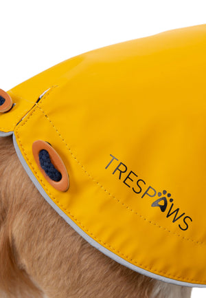 Seadog - Sunshine - Trespass