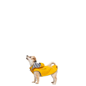 Seadog - Sunshine - Trespass
