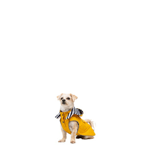 Seadog - Sunshine - Trespass
