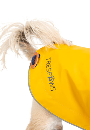 Seadog - Sunshine - Trespass
