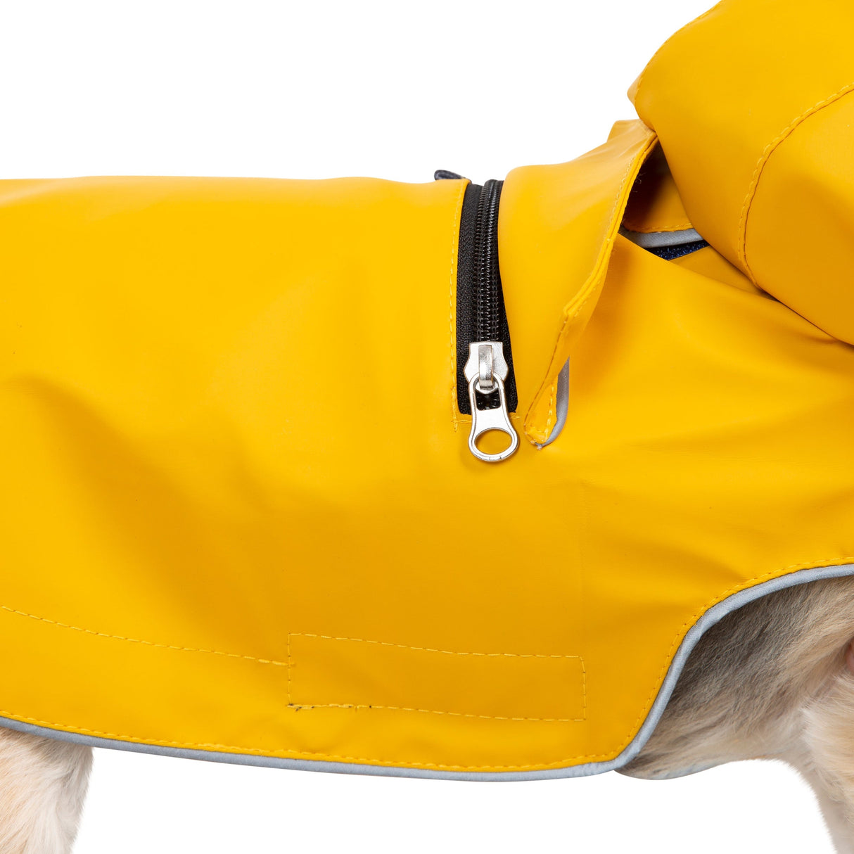 Seadog - Sunshine - Trespass