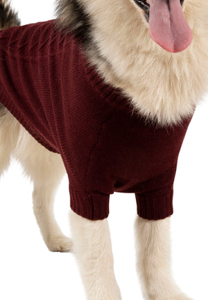 Snowhound - Merlot - Trespass