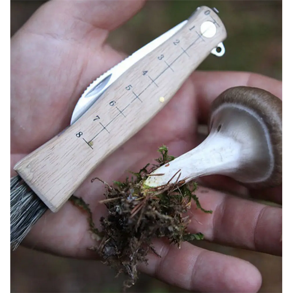 Klappbares Pilzmesser - Øyo