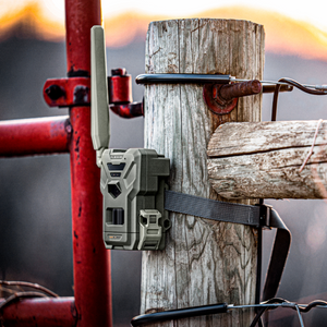 Flex-M Doppelpack – Spypoint