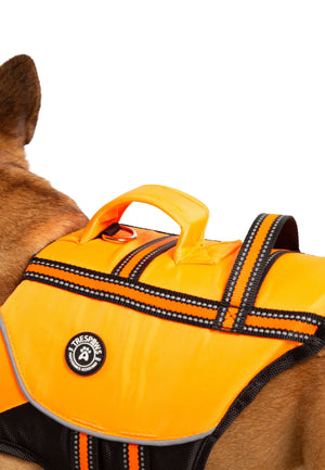 Surfdog - High Vis - Trespass