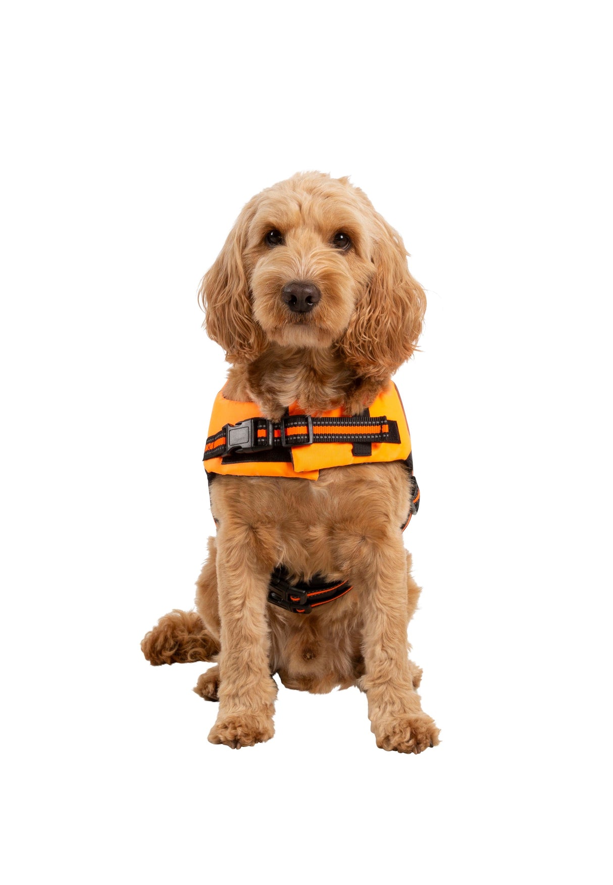 Surfdog - High Vis - Trespass