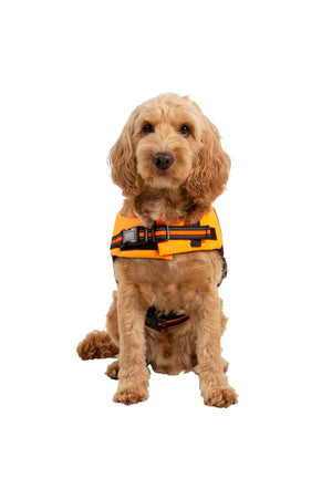 Surfdog - High Vis - Trespass