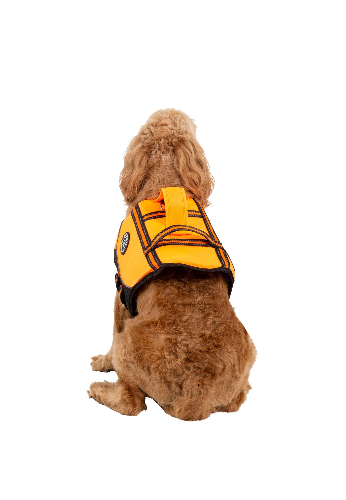 Surfdog - High Vis - Trespass