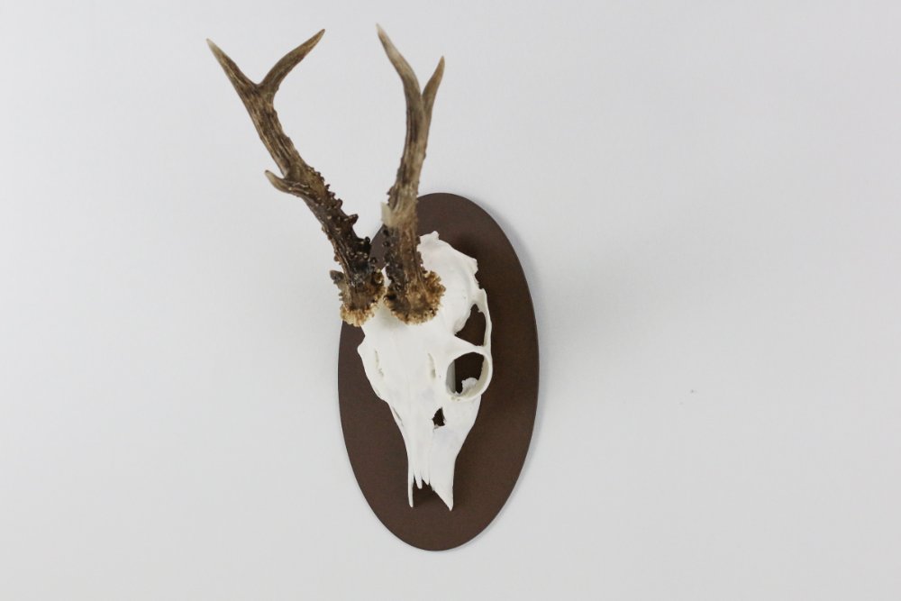 Torp Solution Trophäenteller für Bock Oval - Corten