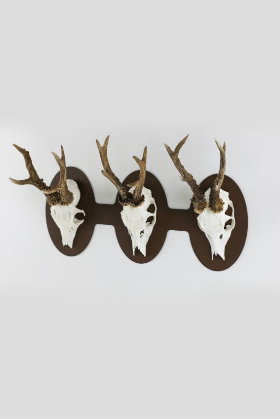 Trophäenplatte für 3 Geweihe horizontal - oval / Corten - Torp Solution