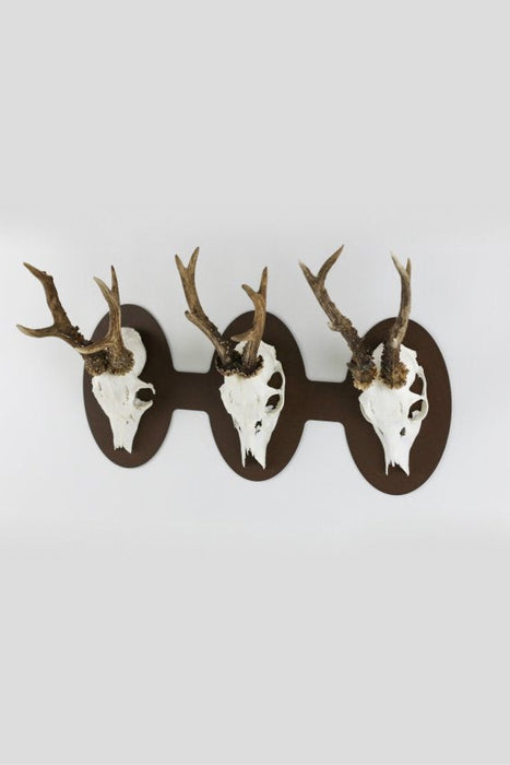 Trophäenplatte für 3 Geweihe horizontal - oval / Corten - Torp Solution