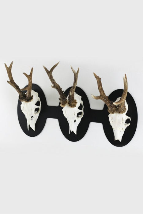 Horizontaler ovaler Trophäenteller für 3 Geweihe - Torp Solution