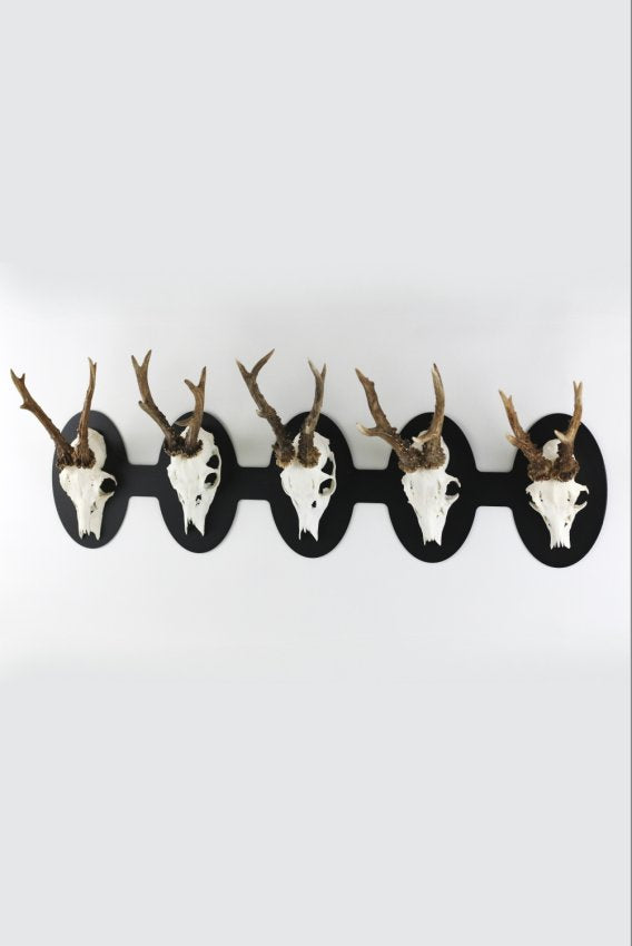 Trophäeplatte für 5 Böcke horizontal - oval / Schwarz - Torp Solution