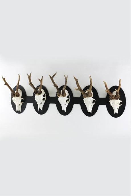 Trophäeplatte für 5 Böcke horizontal - oval / Schwarz - Torp Solution