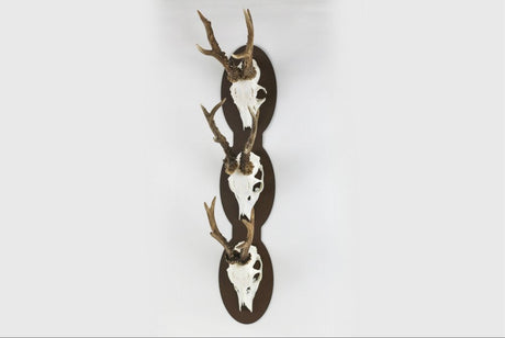 Trophäenplatte für 3 Geweihe vertikal - oval - 3 / Corten - Torp Solution