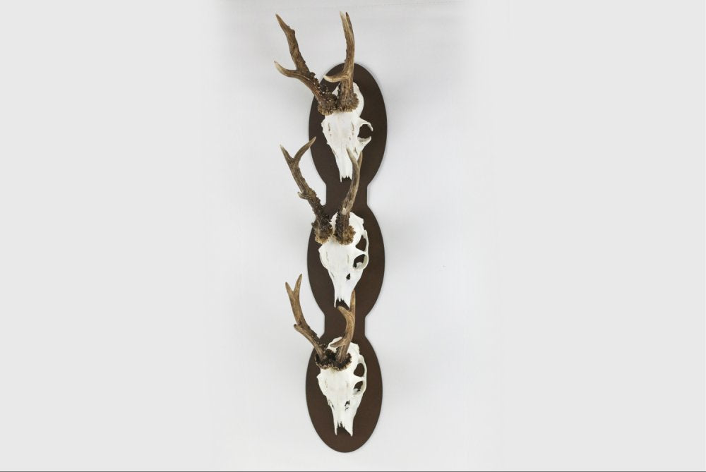 Trophäenplatte für 3 Geweihe vertikal - oval - 3 / Corten - Torp Solution