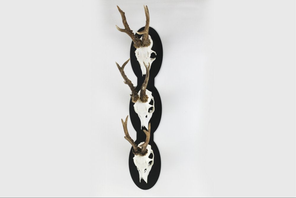 Trophäenplatte für 3 Geweihe vertikal - oval - 3 / Schwarz - Torp Solution