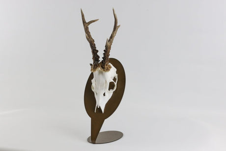 Trophäenteller Tischmodell für Hirsch - Oval / Corten - Torp Solution